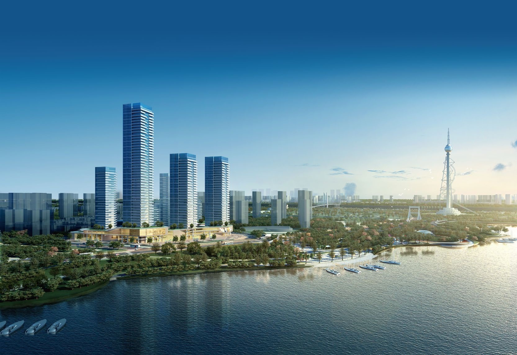 1708413846869115.jpg 2.jpg